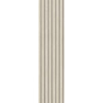 Seta