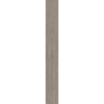 Tortora